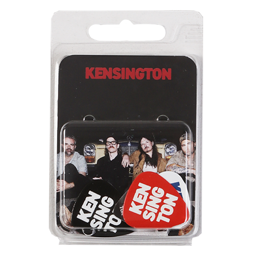 Guitar picks - Set of 4